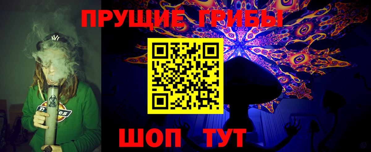 Галлюциногенные грибы Psilocybe Новоуральск